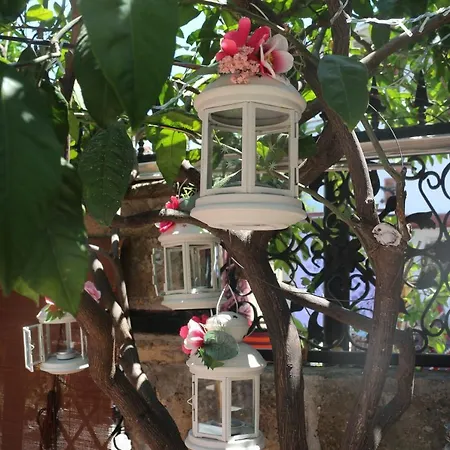 Nensie's Boutique Antalia