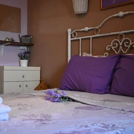 Hotel Nensie's Boutique 2*