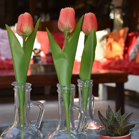 Hotel Nensie's Boutique Antalia